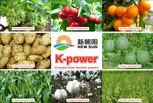 Full Water Soluble Fertilizer of Complex Nutrition Powder