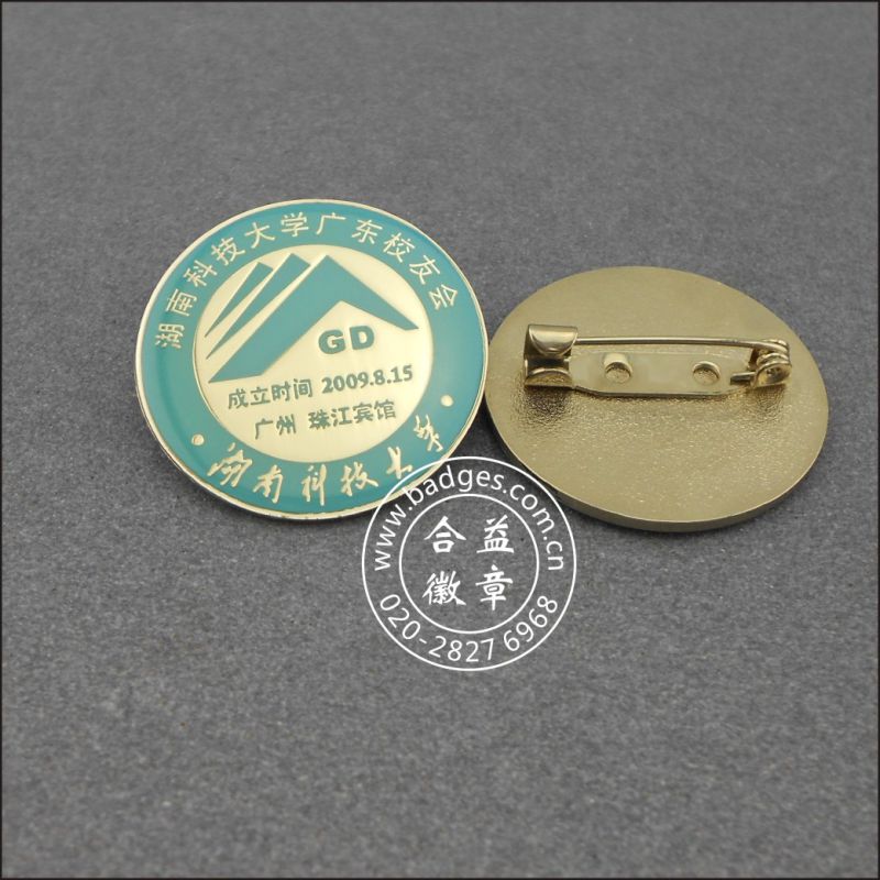 Offset Printing Lapel Pin, Irregular Badge (GZHY-LP-024)