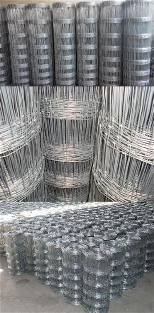 Galvanized Knotted Wire Mesh Fence Field Mesh