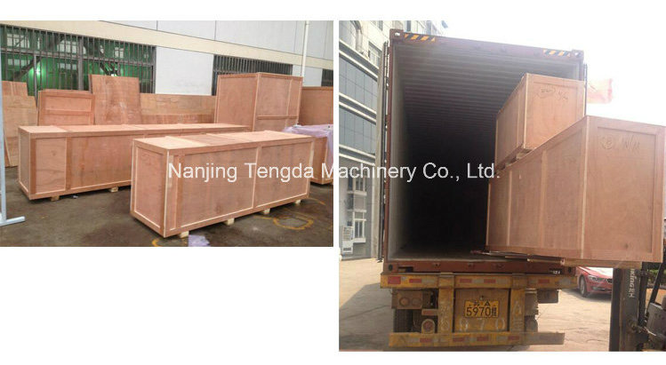 Recycling Granule Two Stage Extruder