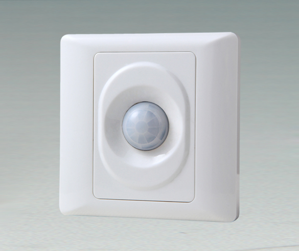 PIR Motion Sensor