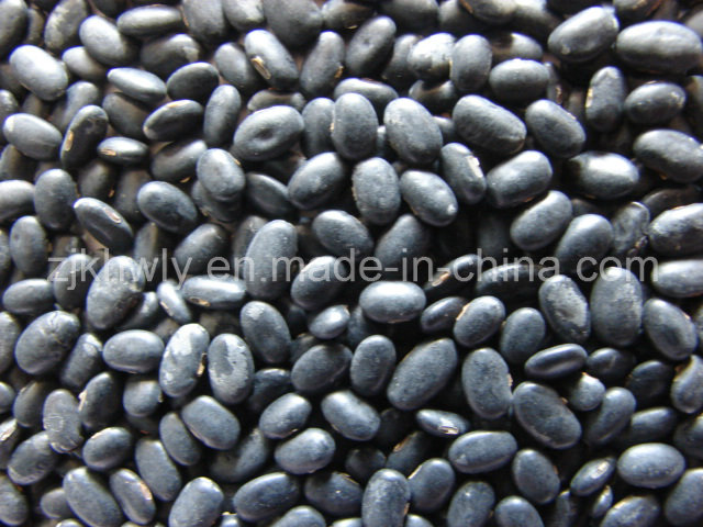 Little Black Kidney Beans