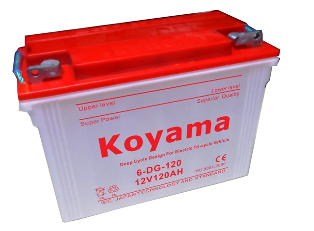 Electric Vehicle Battery Tricycle Battery Deep Cycle 6-Dg-170