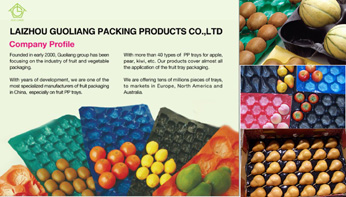 U. S. &Ireland Market Popualr Black Blister Process Plastic Oyster Packaging Box in Food Grade for Display in Market