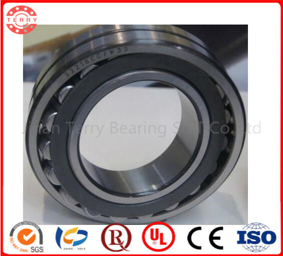 The High Speed Low Noise Cylindrical Roller Bearing (NJ2312EM)