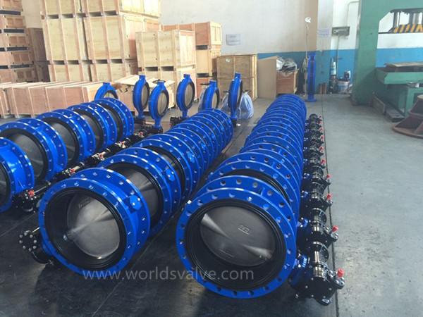 Double Flanged Butterfly Valve (WDS)