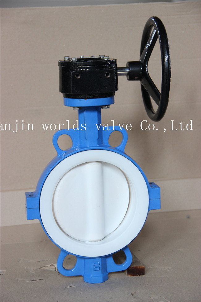 PTFE Butterfly Valve with Ce ISO Approved