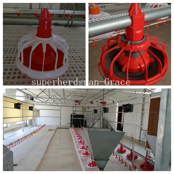 Poultry Feeding Machinery for Broiler Farm