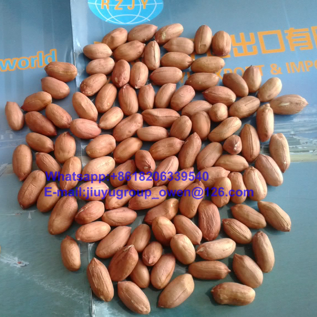Shandong Origin Food Grade Raw Peanut Kernel 24/28