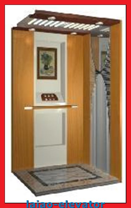 Green Environment Protection Home Elevator Lift with Machine Roomless