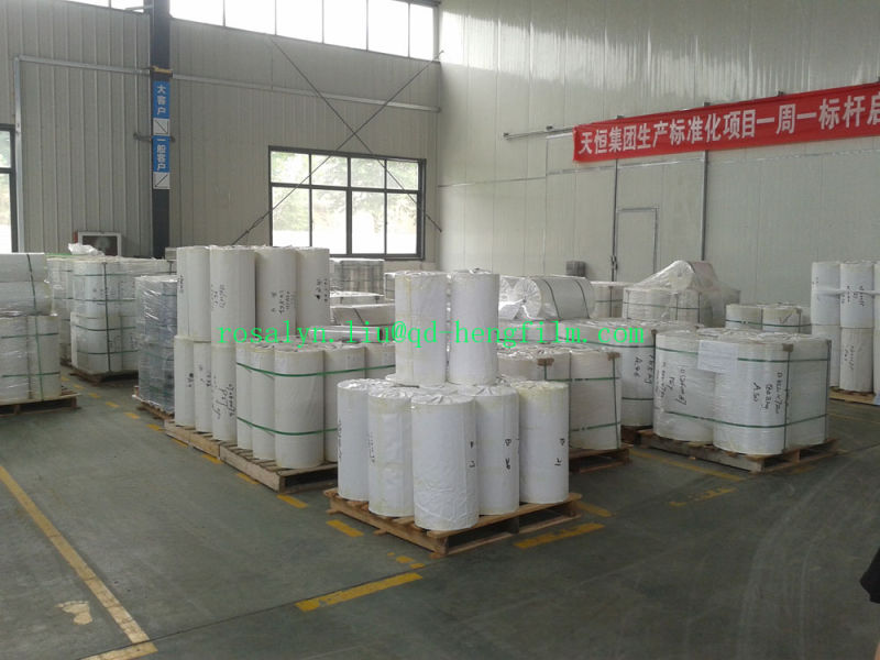 Clear Pharmaceutical PVC Rigid Film for Blister Packaging of Pills. Tablets, Capsule