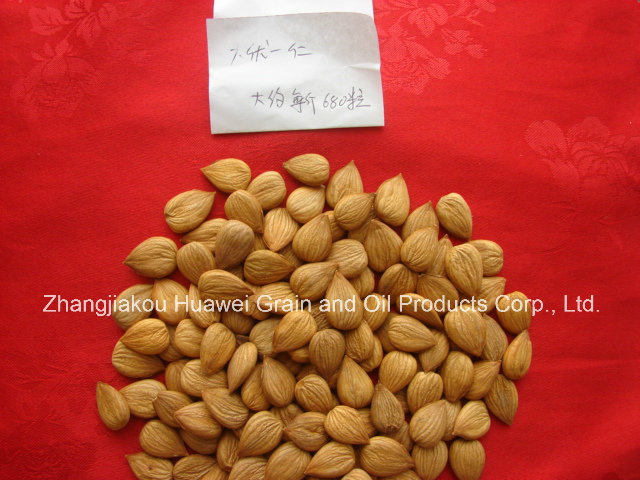 Sweet Almond (youyi 680 PCS/500g)
