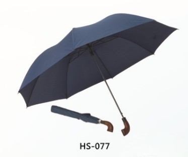 Golf Umbrella (HSZ-10)