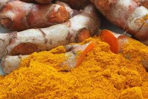 Factory Price Supply Natural Curcuma Longa Extract