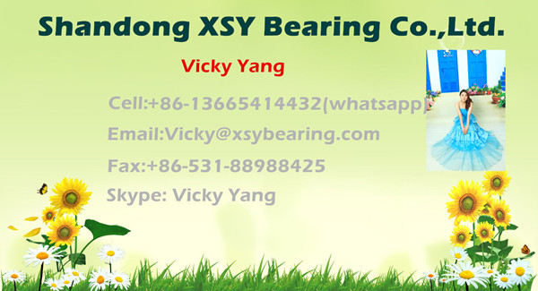 Plastic Pillow Block Bearing with Stainless Steel Bearing (UCP207-20)