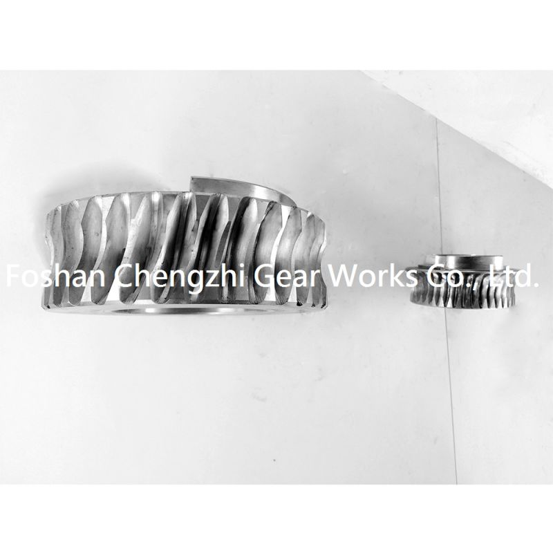 Good Quality Customized Transmission Gear Worm Gear for Various Machinery