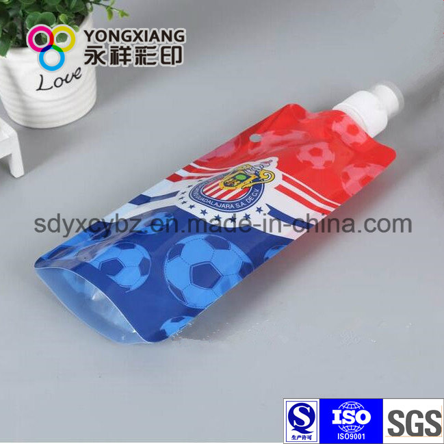 Printed Stand up Laundry Detergent Bag