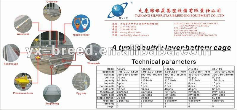 Layer Chicken Cage for Chicken Farm (A4L120)