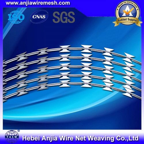 Hot Dipped Galvanized Razor Wire and Accordion Double Wire