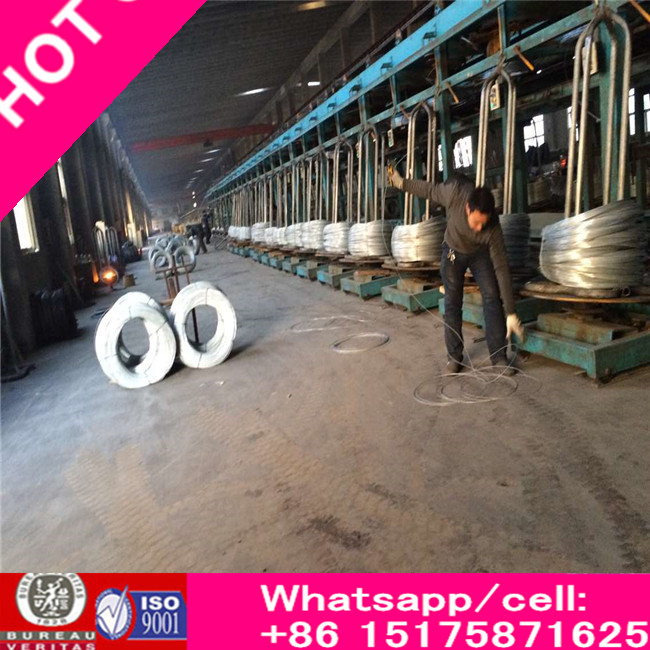 Bwg33-0.20mm Hot Dipped Galvanized Wire for Cable Made in China
