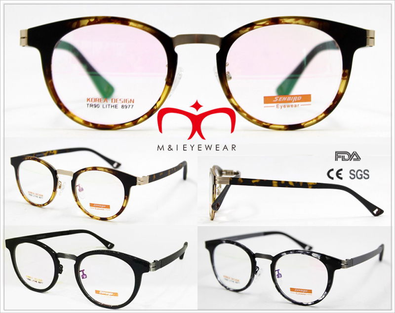 2016 Fashionable Tr90 Optical Frame in Stock (8896, 8978, 8977, 5862)