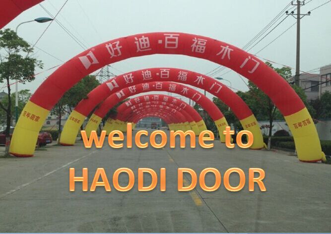 MDF Security Interior Door (HHD-074B)