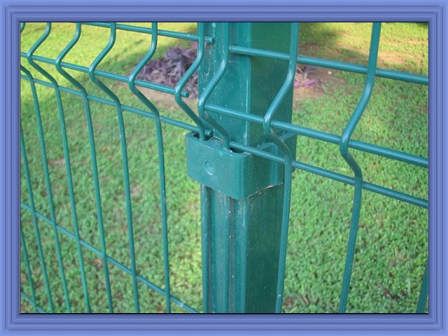 Galvanized Raw Material and Then PVC Painting Wire Mesh Fence