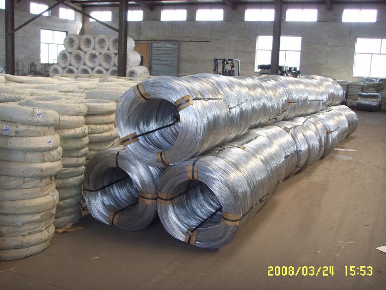 Galvanized Iron Wire