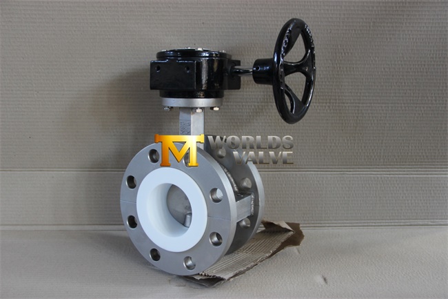 Stainless Steel Wafer/Lug/Flanged Butterfly Valve (CBF01-TA01)