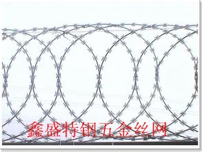 Barbed Iron Wire