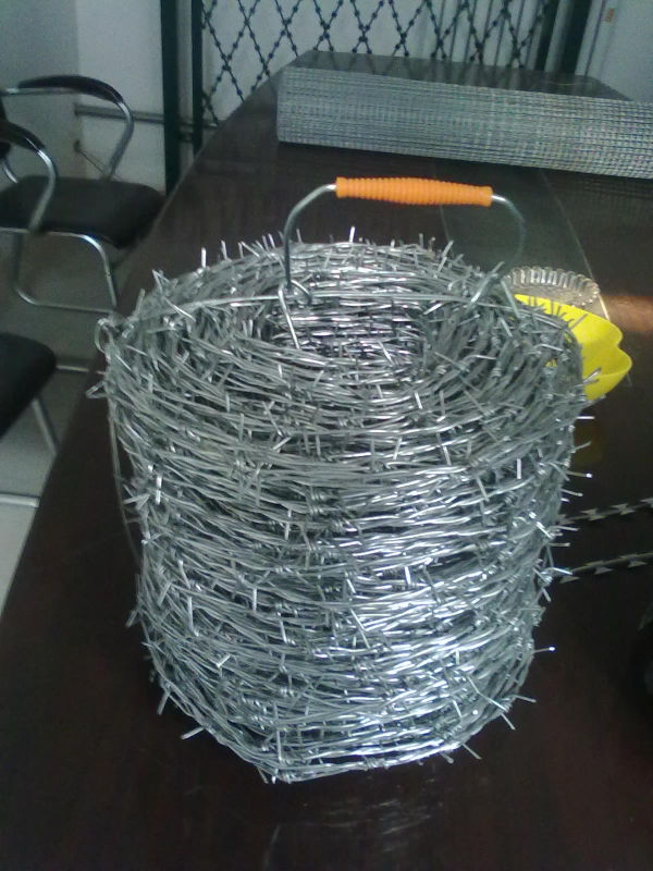 (BWG14*14 or BWG16*16 with 1.6mm 2.1mm 2.5mm wire diameter) Electric/Hot Dipped Barbed Wire