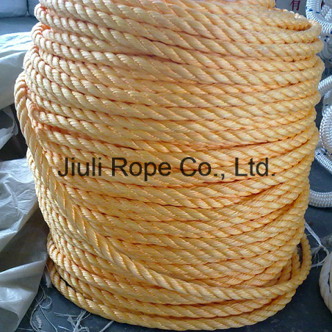 PP Rope/Braided Rope (Apporved By LR Certificate)