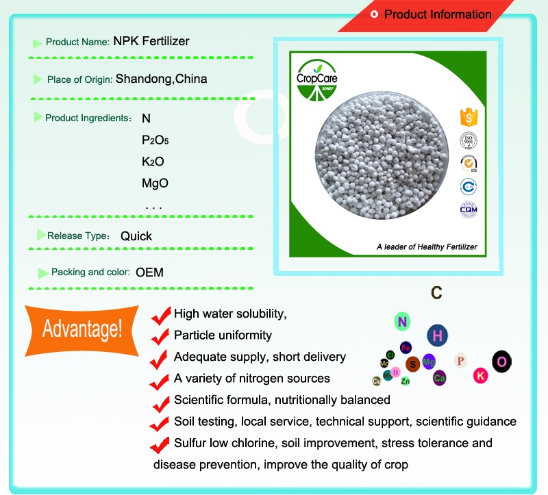 Sop Based NPK Fertilizer 16-16-16 for Cash Crops Fruits Vegetables