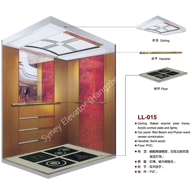 Passenger Lift Passenger Elevator for Home (LL-014)