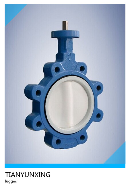 Manual Operated Full PTFE Casting Wafer and Lug Butterfly Valves