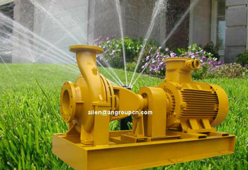 Single Stage Clarified Water End Suction Centrifugal Irrigation Pump