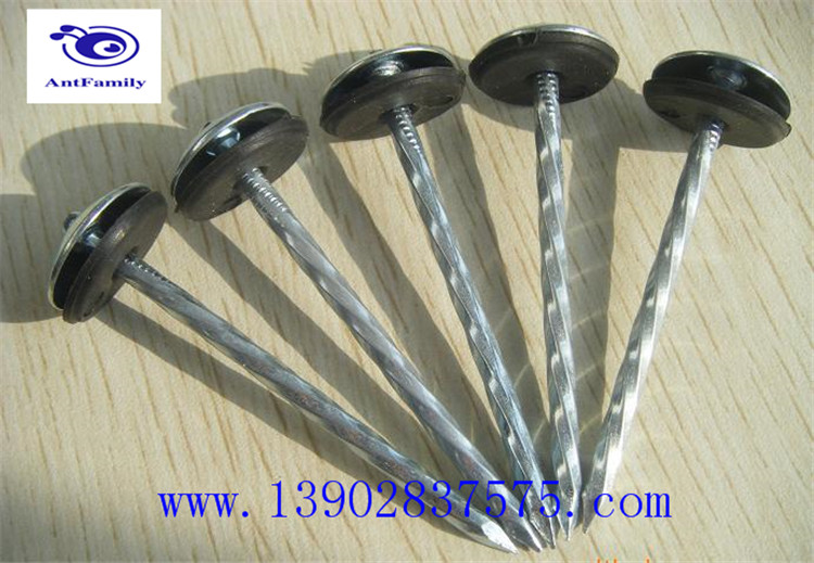 Umbrella head roofing nails manufacturer