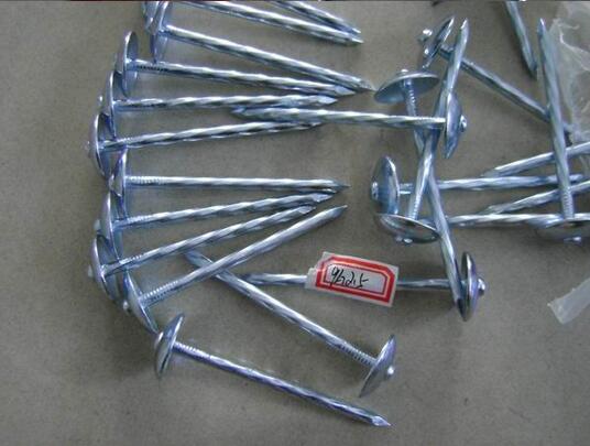 Umbrella Head Roofing Nails From Manufacture in China