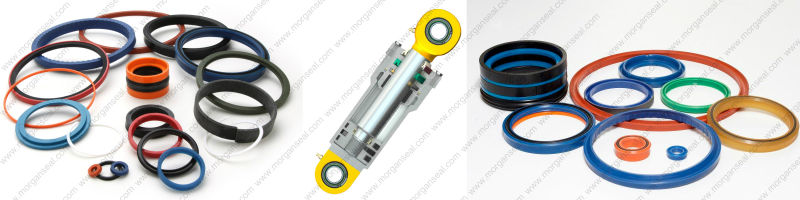 Spgw/Phd/Y3/L27/Cst Type Hydraulic Cylinder Piston Seal