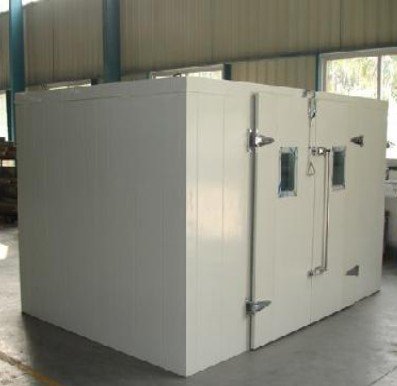 Fish Deep Freezer with Insulation