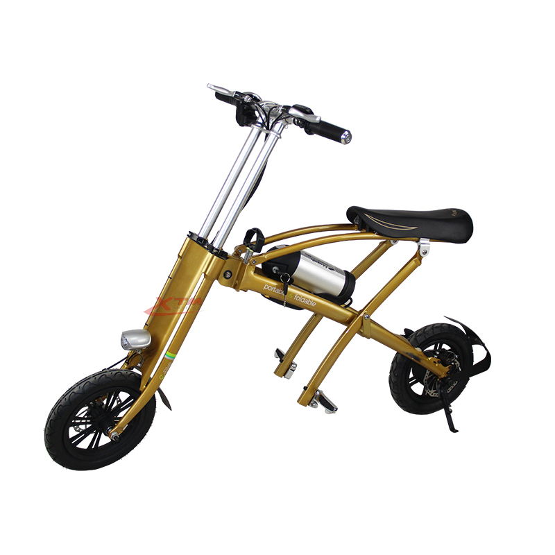 Mini Folding Bike 36V 250W/350W China Electric Bicycle