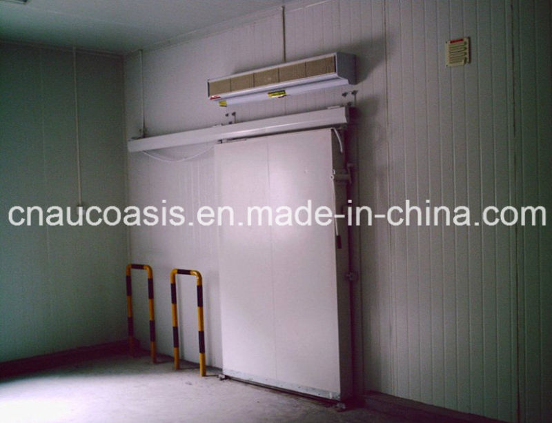 Manufacture Hot Sale Cold Room Refrigerator Freezer, Cold Storage