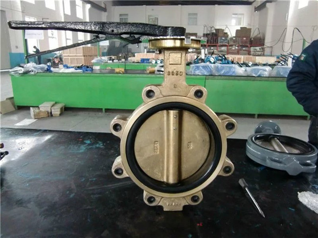 8 Inch Wcb C95400 Lever Operated Lug Butterfly Valve