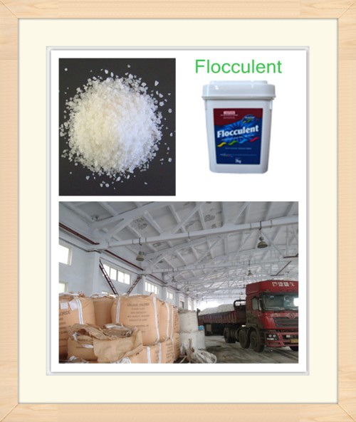 Water Treatment Chemicals for Swimming Pool with Balancer, Disinfectant, Algaecide, Flocculant