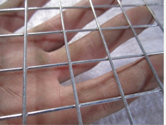 HDP Welded Wire Mesh Panel 1'' Apreture 1mm Wire Diameter