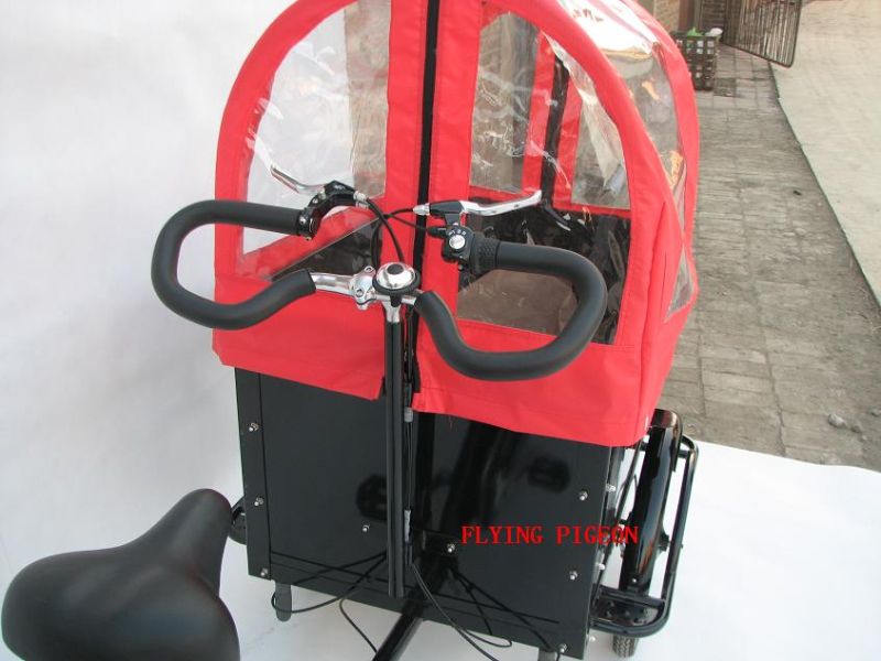 Big Load Capacity Electric Rickshaw Tricycle (FP-ERT003)