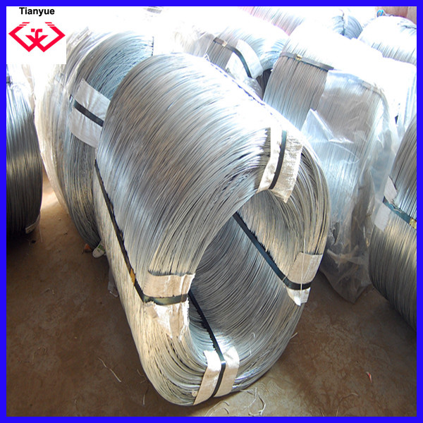 Electric/Hot Dipped Galvanized Iron Wire