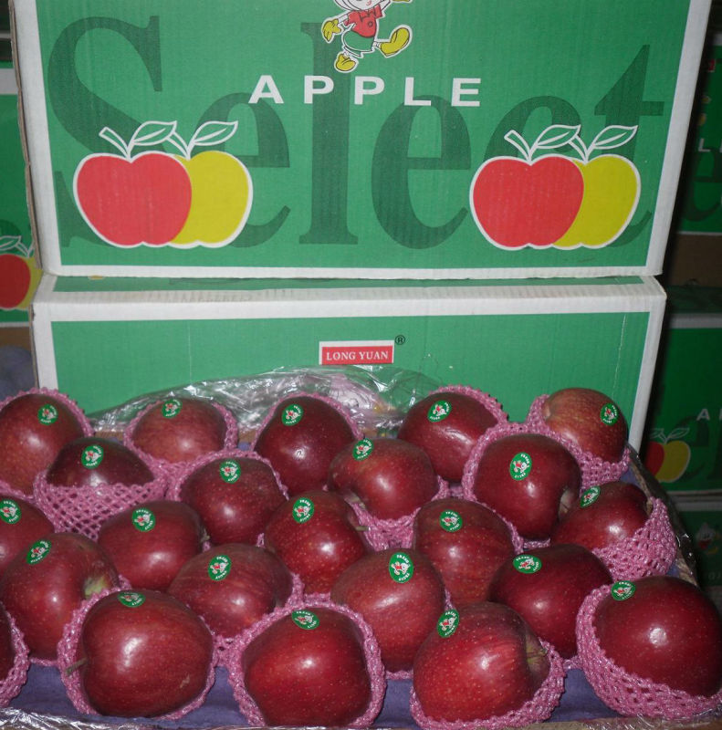 Golden Supplier for Chinese Fresh Red Apple