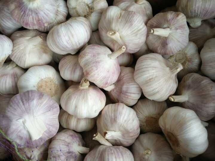 New Crop Jinxiang White Garlic (4.5cm, 5.0cm, 5.5cm, 6.0cm)