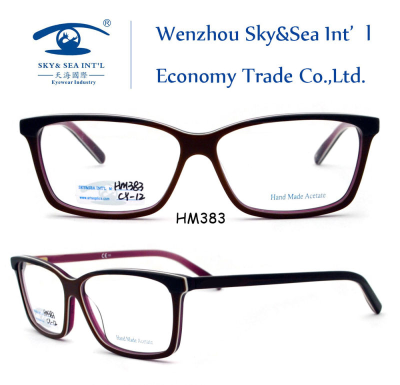 New Arrival Top Grade Fashion Acetate Eyewear (HM383)